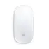 Apple Magic Mouse (MK2E3AM/A)